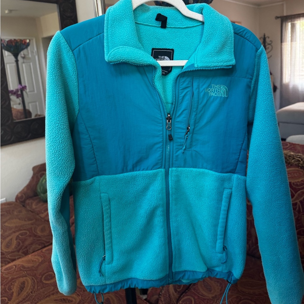 The North Face Aqua Fleece Jacket